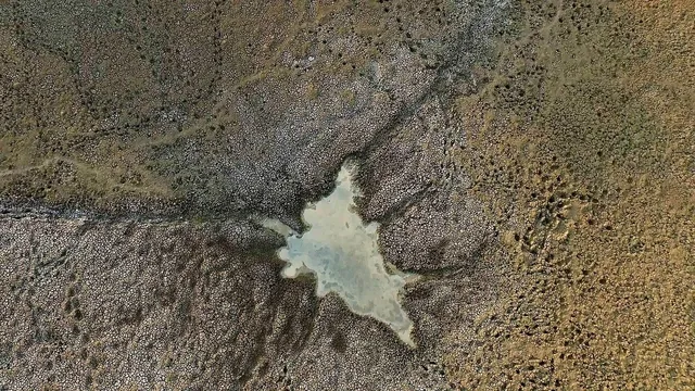 PARIBAS